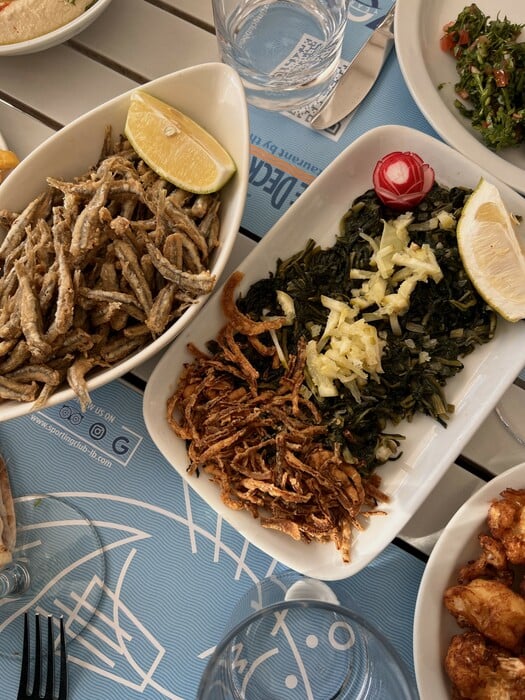 Tαξίδι στην εμπόλεμη Βηρυτό: Χαμπίμπι – κι ας πετούν από πάνω μας τα drones