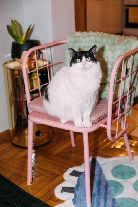 Ένα σπίτι γεμάτο χρώμα και playmobil