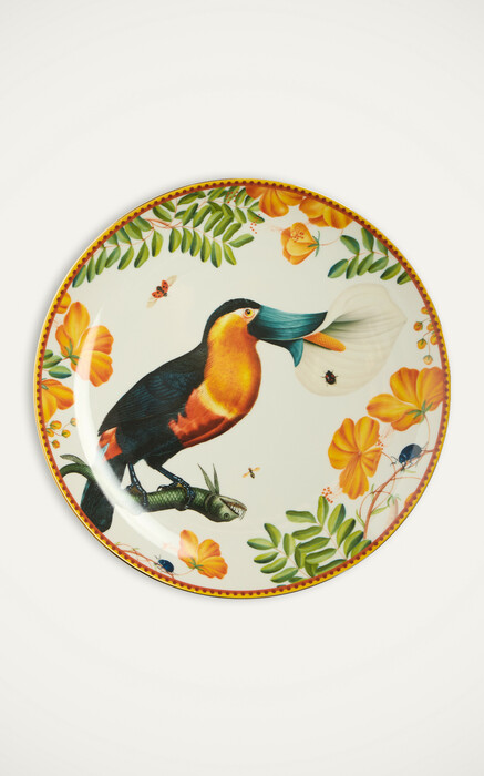 Bring me a higher fashion