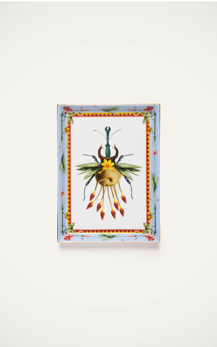 Bring me a higher fashion