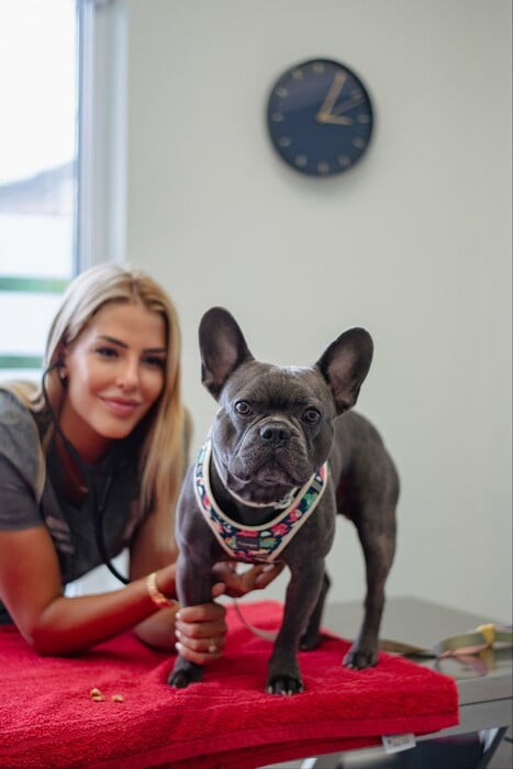 Νέο κουταβάκι ή γατάκι; Οδηγός για «Νέους Γονείς» που θέλουν να κάνουν ένα σωστό και ισορροπημένο ξεκίνημα