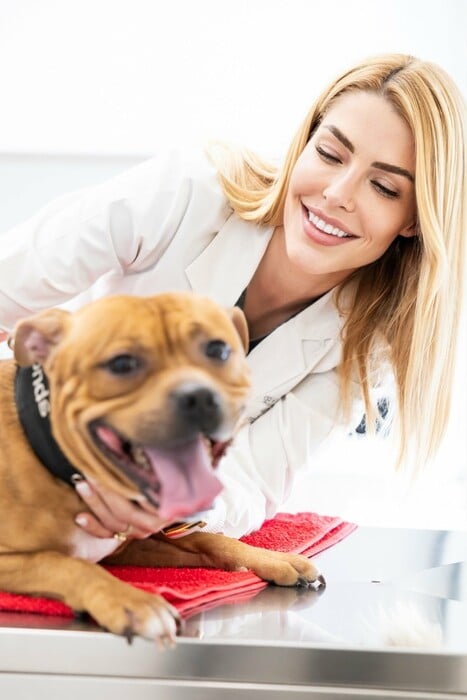 Νέο κουταβάκι ή γατάκι; Οδηγός για «Νέους Γονείς» που θέλουν να κάνουν ένα σωστό και ισορροπημένο ξεκίνημα