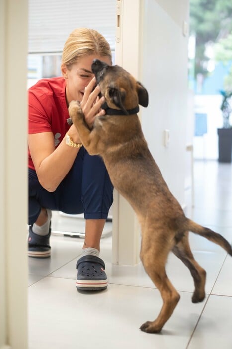 Νέο κουταβάκι ή γατάκι; Οδηγός για «Νέους Γονείς» που θέλουν να κάνουν ένα σωστό και ισορροπημένο ξεκίνημα