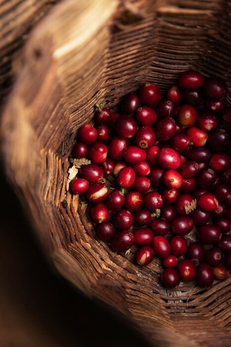 Ταξίδι στα βουνά της Κολομβίας: Ανακαλύπτοντας τις φάρμες καφέ των Άνδεων