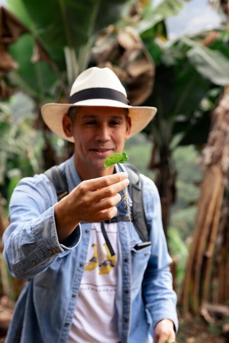 Ταξίδι στα βουνά της Κολομβίας: Ανακαλύπτοντας τις φάρμες καφέ των Άνδεων