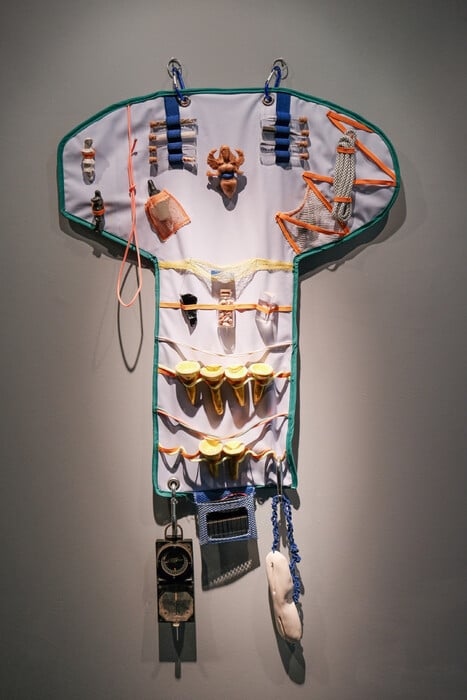 14 εκθέσεις για τον Ιανουάριο 2026