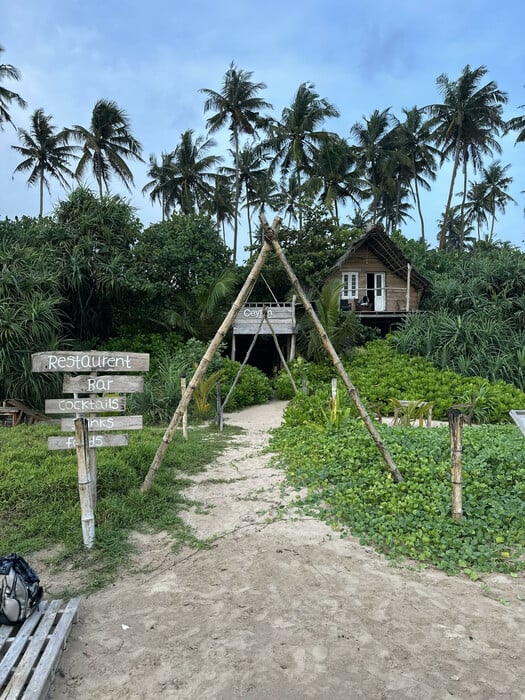 wildgood: Το ταξίδι που σε αλλάζει πριν καν ανέβεις στο αεροπλάνο