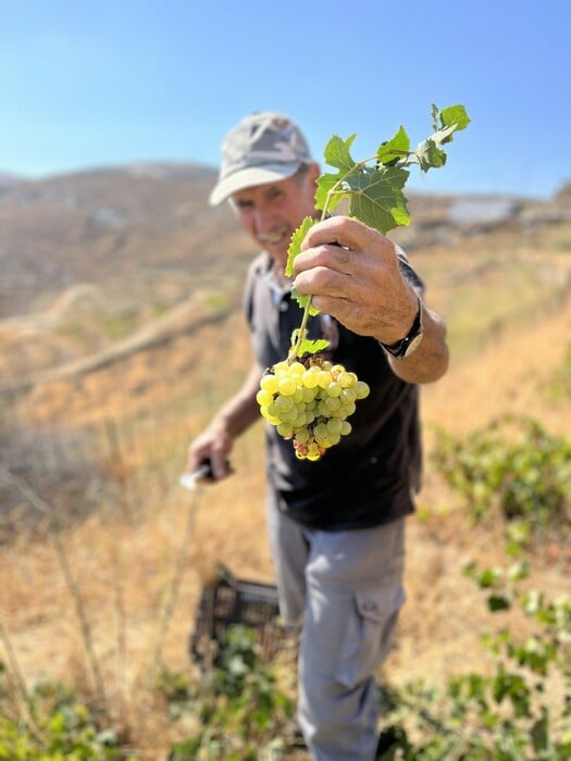 Santa Thecla 2022: Κάθε γουλιά και σκέψη 