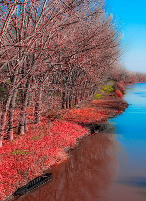 «Η μεγάλη ζωή τελικά είναι στην ύπαιθρο»