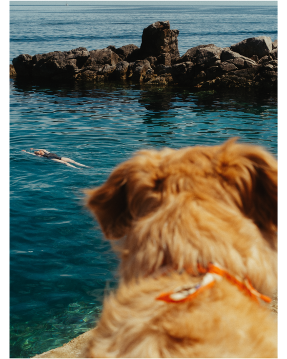 Οι όμορφες, μικρές στιγμές της Αθήνας με τη ματιά του Ντάγκλας Μάρτιν Έβελι