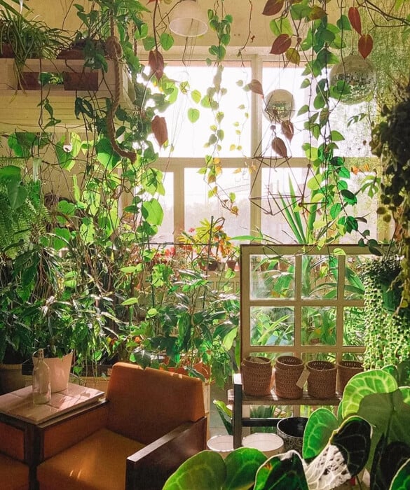 ΕΠΕΞ Φτιάξαμε ινσταγκραμικούς κήπους. Ξοδέψαμε περιουσίες. Τώρα μαράθηκαν όλα