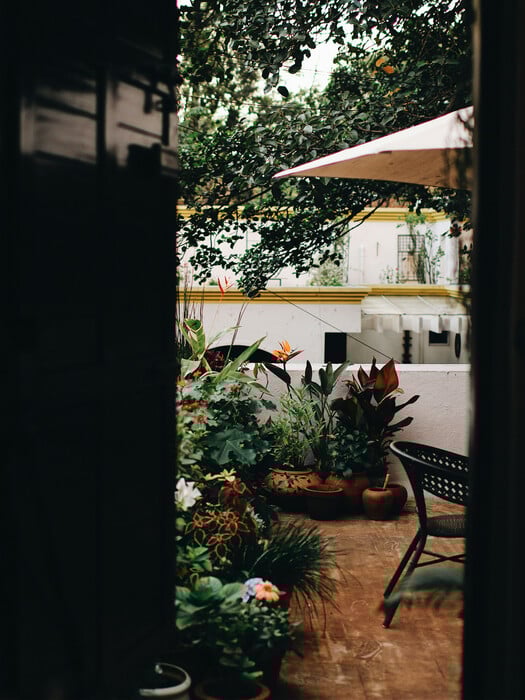 Φτιάξαμε ινσταγκραμικούς κήπους. Ξοδέψαμε περιουσίες. Τώρα μαράθηκαν όλα