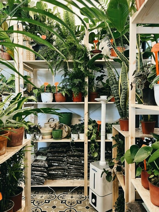 Φτιάξαμε ινσταγκραμικούς κήπους. Ξοδέψαμε περιουσίες. Τώρα μαράθηκαν όλα