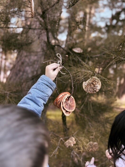 Είναι cool να νοιάζεσαι! Eco Schools 