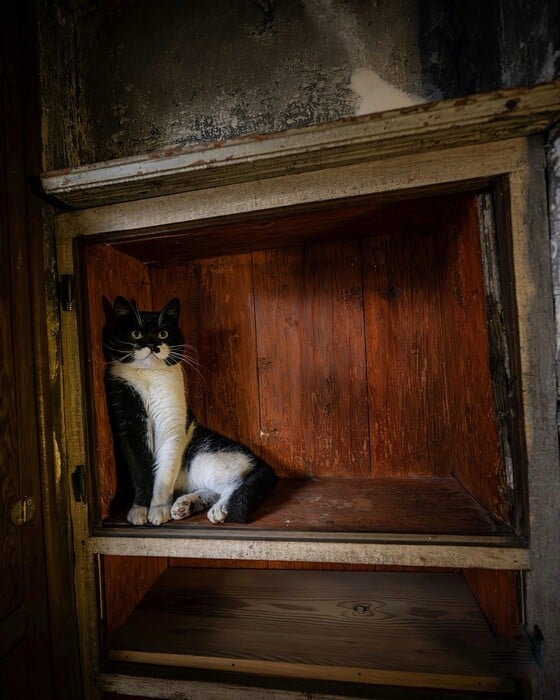 Ο Γλύκας του Τοπκαπί