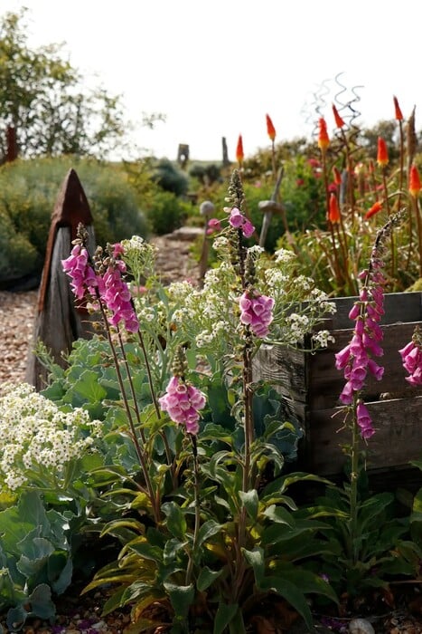 Ο νέος σταρ της βρετανικής κηπουρικής δεν πουλά μόνο φυτά, αλλά έναν ολόκληρο τρόπο να βλέπεις τον κόσμο