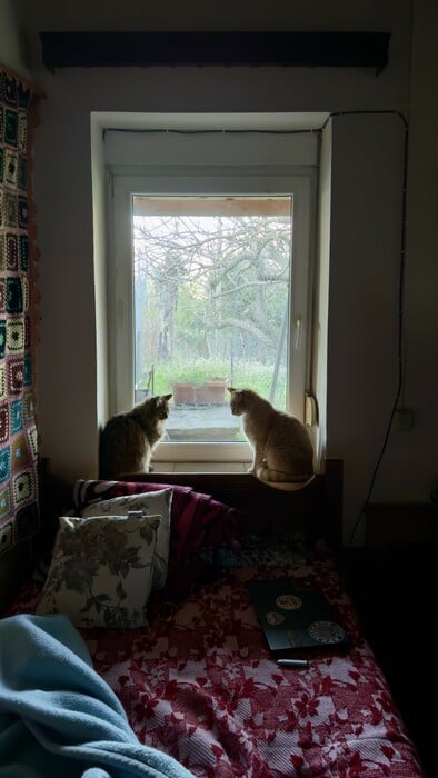 «Φαντάζομαι έναν κόσμο στον οποίο θα μπορούν οι άνθρωποι να ζουν στα χωριά ξανά»