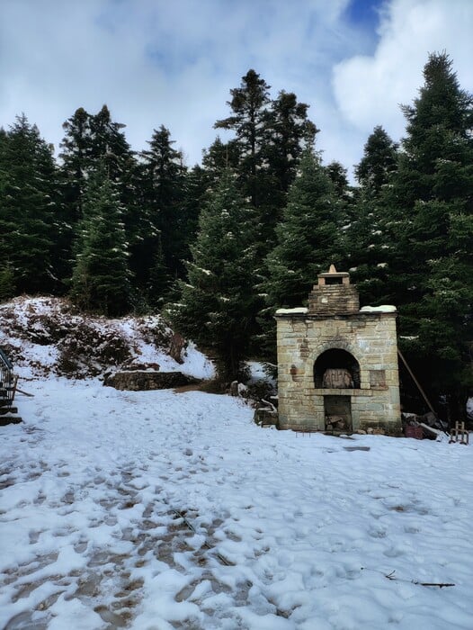 «Οι Μελισσουργοί έγιναν το σπίτι μου, με έσωσαν από τους εσωτερικούς μου δαίμονες»