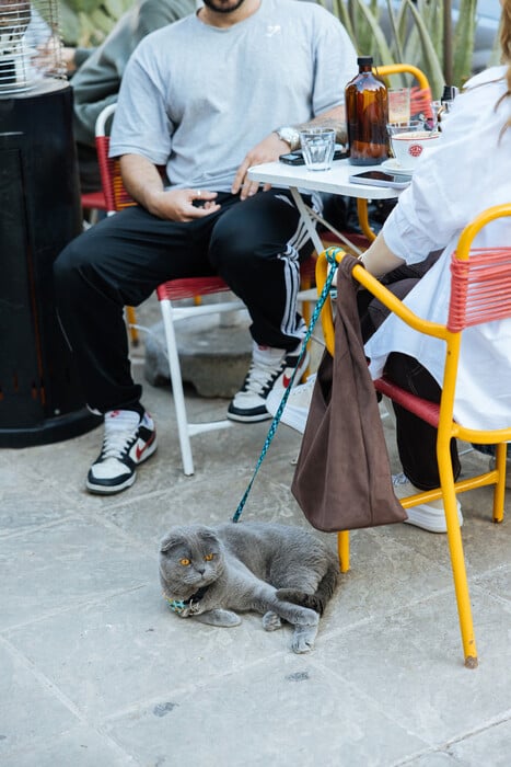 Τα φρέσκα, νέα και ωραία του Περιστερίου