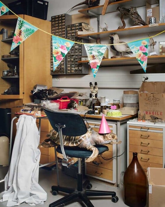 Μια νέα έκθεση στο Λονδίνο κοιτάζει κατάματα το γήρας