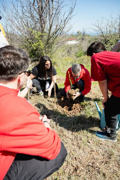 2.000 δέντρα για τη Γη: ΒΙΚΟΣ και we4all δίνουν ξανά ζωή σε Χίο και Βόρεια Εύβοια