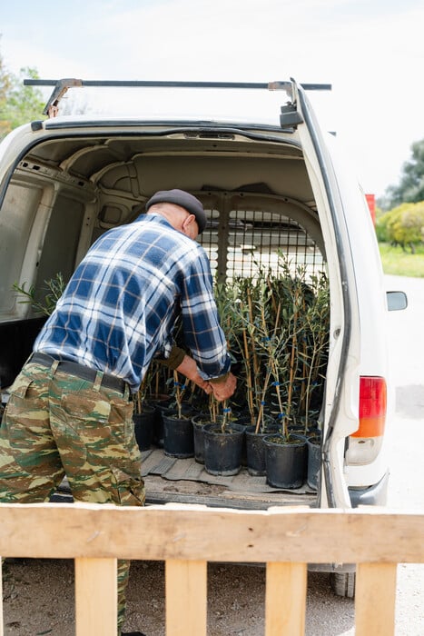 2.000 δέντρα για τη Γη: ΒΙΚΟΣ και we4all δίνουν ξανά ζωή σε Χίο και Βόρεια Εύβοια
