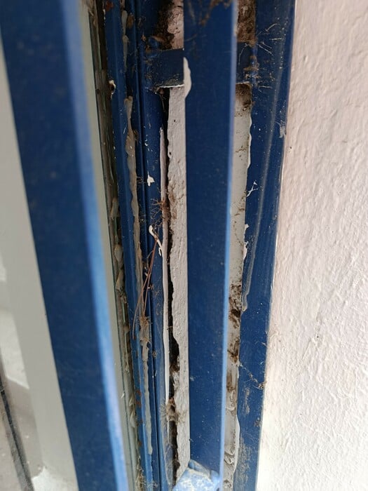 Λυκαβηττός: το σχολείο-μνημείο του Δημήτρη Πικιώνη που καταρρέει