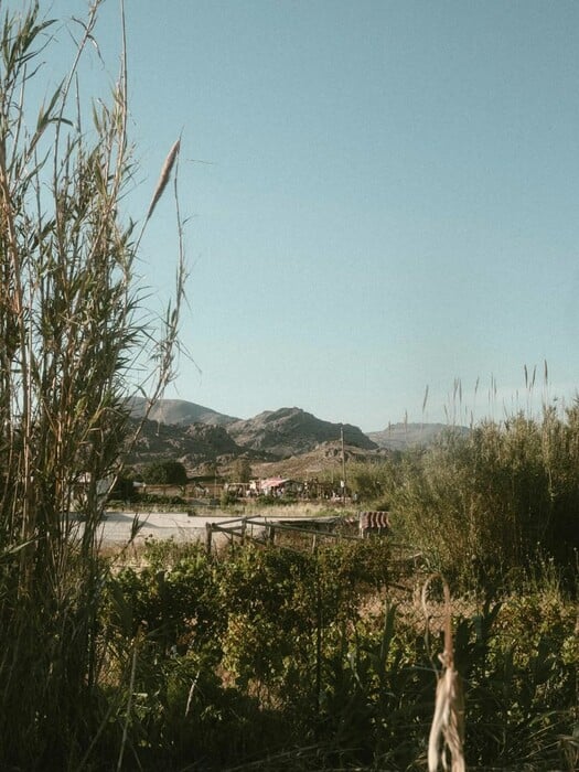 Queer Ranch Festival: «Προσπαθούμε να διατηρούμε την ελευθερία των rave parties»