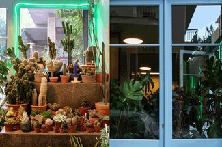 Storgia: η εικαστική παρέμβαση μιας καλλιτεχνικής ομάδας στο κέντρο της Αθήνας