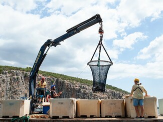 Επίσκεψη στον Όρμο Σελόντα όπου εκτρέφονται τσιπούρες και λαβράκια