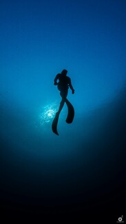 Μία έκθεση για την ελεύθερη κατάδυση και το υποβρύχιο περιβάλλον της Ελλάδας