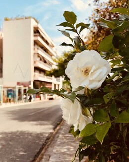 40 νέες φωτογραφίες των αναγνωστών μας, στο σημερινό INSTALIFO