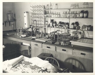Rosalind Franklin: Η «σβησμένη» υπογραφή πίσω από δύο Νόμπελ