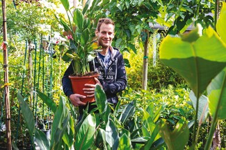 Green Art: Ένα μπουτίκ φυτοπωλείο που ανθίζει στο Περιστέρι