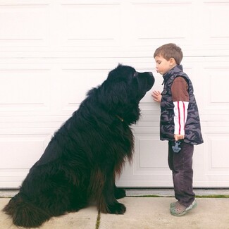  Ένα παιδί, ένας σκύλος και μια δυνατή φιλία