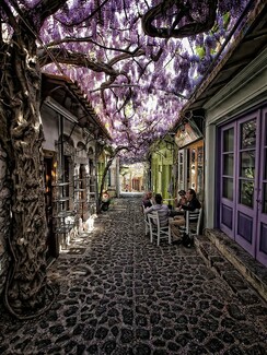 Tο ομορφότερο δρομάκι στον κόσμο βρίσκεται στην Ελλάδα 