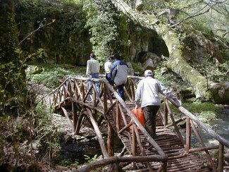 Τι θα έχει φέτος το 7ο Wood Water Wild Festival;