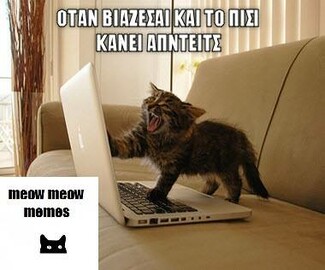 15 Μικροπράγματα που ΙΣΩΣ σου φτιάξουν τη διάθεση, σήμερα Πέμπτη