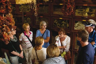 Walking tours ή πώς η Αθήνα θα μπορούσε να έχει τουρισμό 365 μέρες τον χρόνο