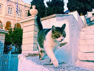 30 νέες φωτογραφίες απ' τα τέλεια ζώα των αναγνωστών μας