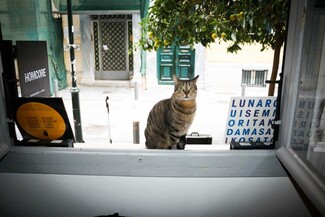 Τα πάρτι του Σαββατοκύριακου