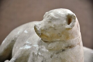 Ένας «εξηπλωμένος μικρός κύων» στο Εθνικό Αρχαιολογικό Μουσείο