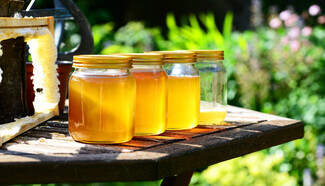 Τα πάντα για το μέλι, το κορυφαίο προϊόν της ελληνικής φύσης