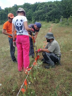 WWF: H Ελισάβετ και ο σκύλος της δίνουν καθημερινή μάχη με τα δηλητηριασμένα δολώματα