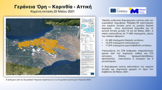 Φωτιά σε Σχίνο- Μέγαρα: Πακέτο μέτρων για τη στήριξη των πληγέντων -