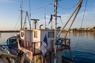 «Με Σεβασμό για το Μέλλον»: Ο καφές Nescafé και τρεις ελληνικοί οργανισμοί φέρνουν την αλλαγή στην προστασία του περιβάλλοντος