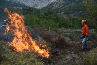 Ένα καινοτόμο πιλοτικό έργο στη Χίο έχει στόχο την άμεση πρόληψη των δασικών πυρκαγιών στην πράξη