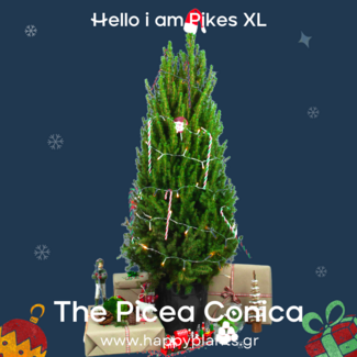 Happyplants: Φυτά ιδανικά για ελληνικές συνθήκες