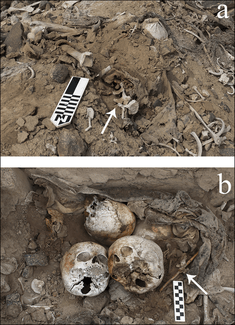«Συναρμολογώντας τους νεκρούς»: Γιατί οι αυτόχθονες του Περού «έδεναν» τους σπονδύλους των σκελετών; 
