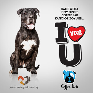 Κάθε φορά που πίνεις Coffee Lab, κάποιος σου λέει I γαβ U